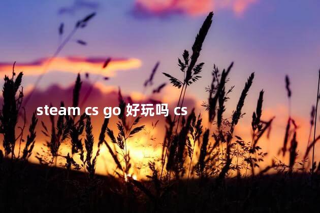 steam cs go 好玩吗 csgo哪里好玩